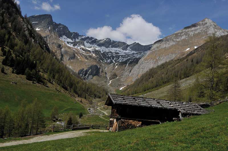 Mountainbiker und Radliebhaber freuen sich über die abwechslungsreichen Strecken in dieser idyllischen Gegend.©: Ski- & Almenregion Gitschberg Jochtal