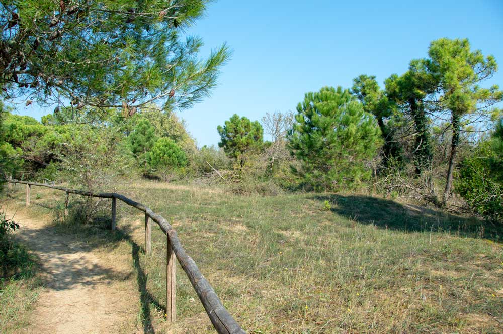 Oasi di Alberoni Bild: Gottfried Patterman